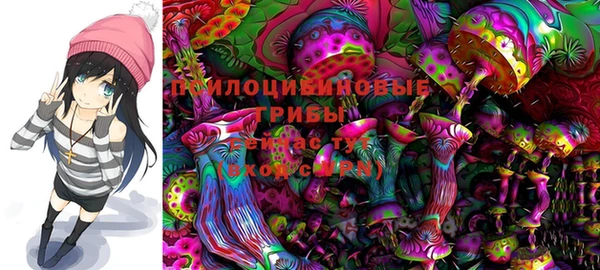 бошки Балахна