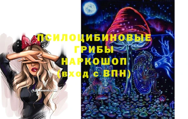 соль курить ск Белокуриха